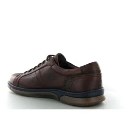 Fluchos Lacets Bear 9916 Marron -Magasin De Chaussures B175501 3