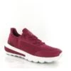 Geox Spherica Tennis Spherica D35tha Bordeaux